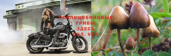 метадон Алзамай